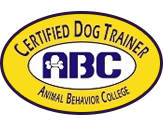Certified Dog Trainer