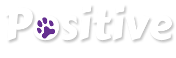 Positive Bully Breed Training LLC